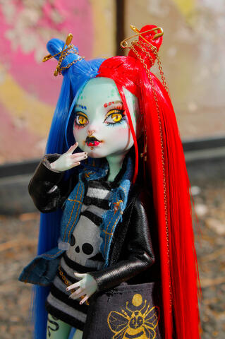 Commission (reroot, faceup, clothes and accessories)