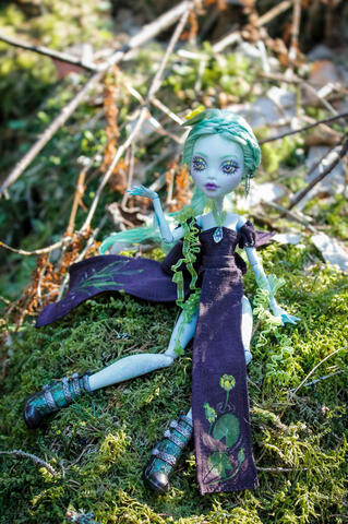 Commission (faceup, partial reroot, clothes and accessories)